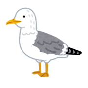 Newsletter Sea Gull